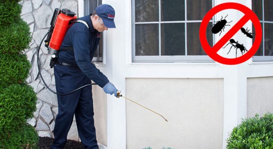 Araklı Tahtakurusu İlaçlama böcek ilaçlama ve haşere kontrolü — ilaclama-tr.com